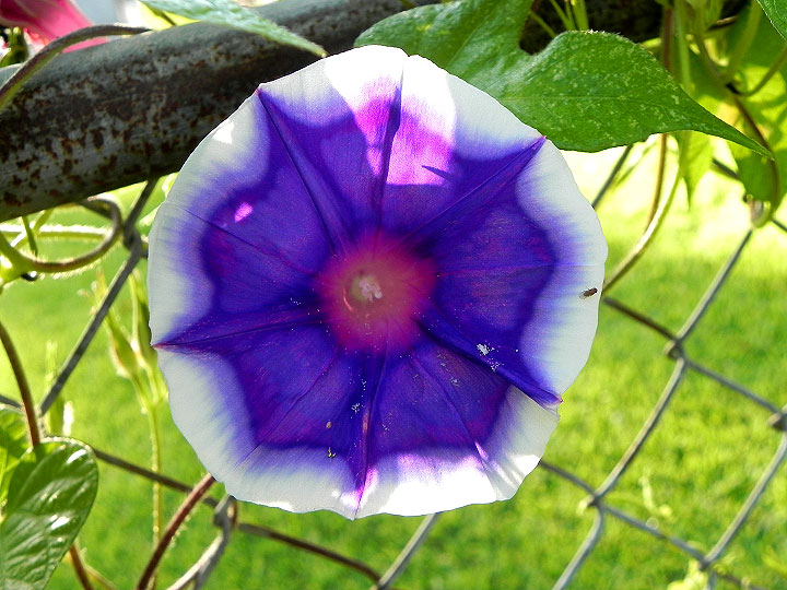 DSCN6387