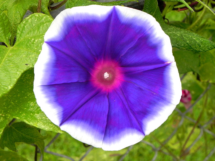 DSCN6597