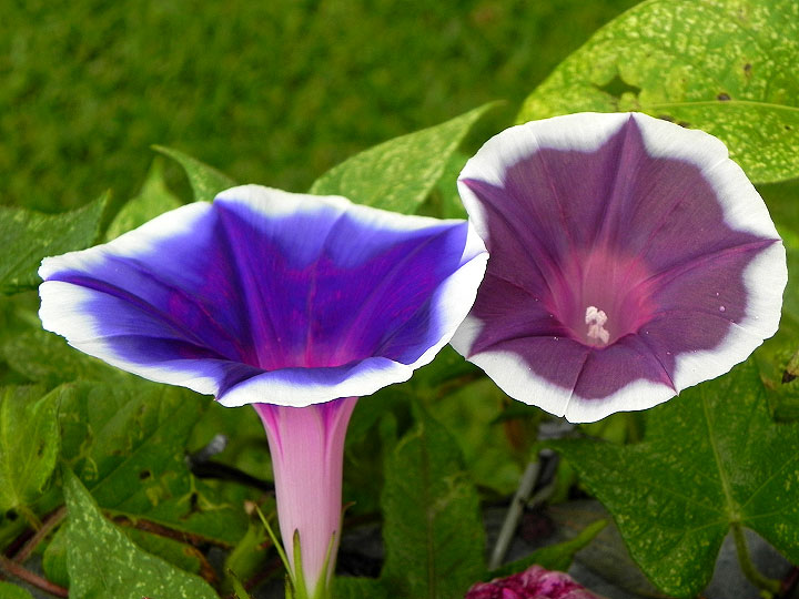 DSCN6598_01