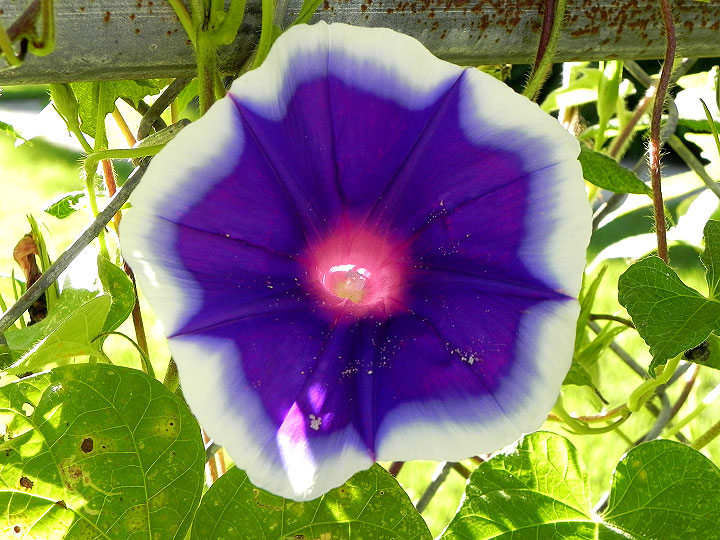 DSCN6651_02