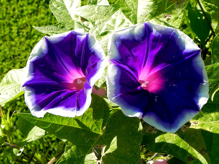 DSCN6722