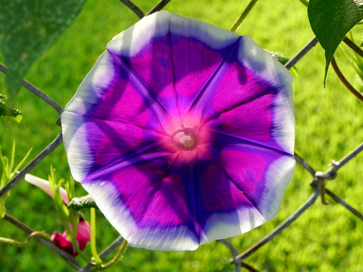 DSCN6842