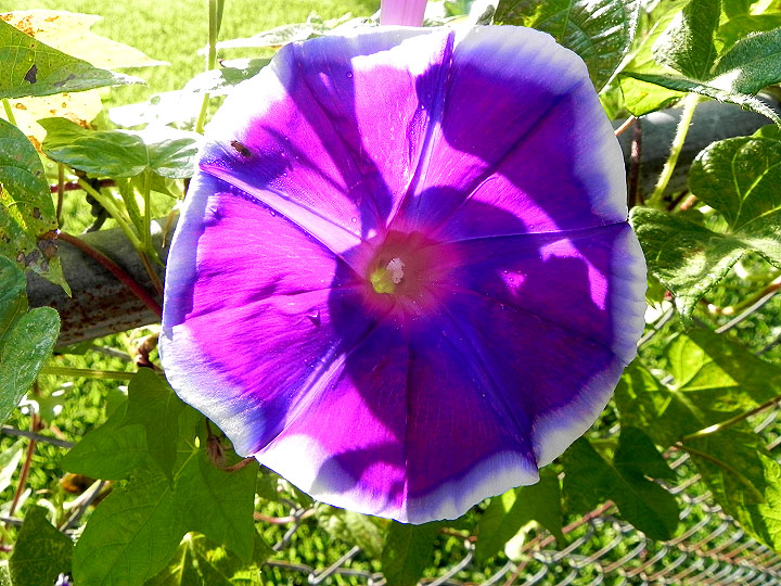 DSCN7309_01