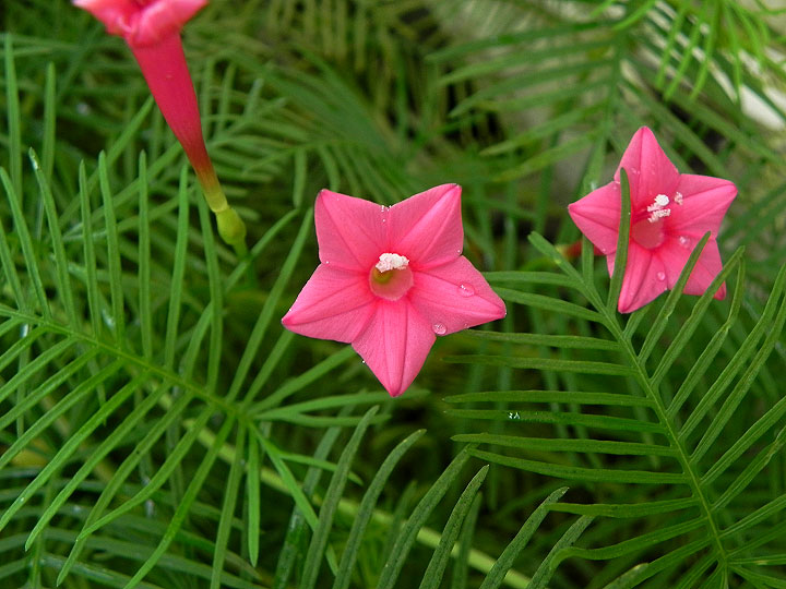 DSCN7616_01