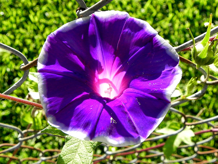 DSCN7696