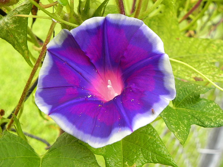 DSCN7748