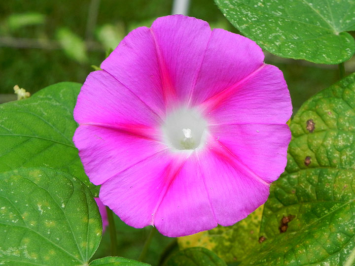 DSCN7879