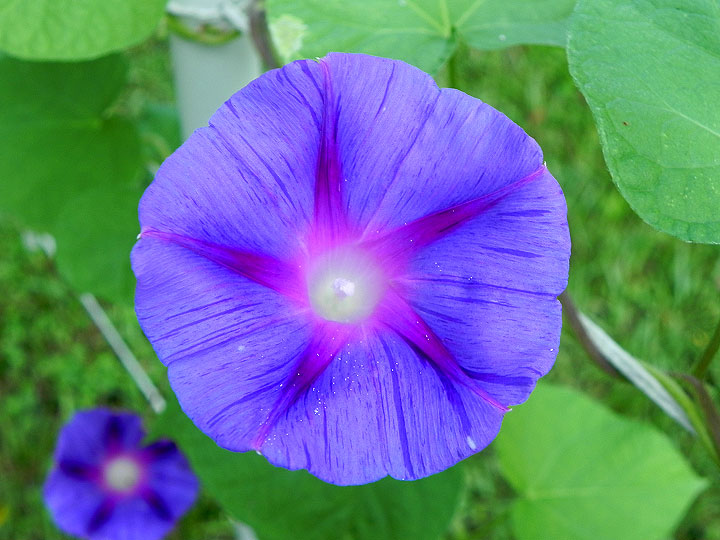 DSCN8234
