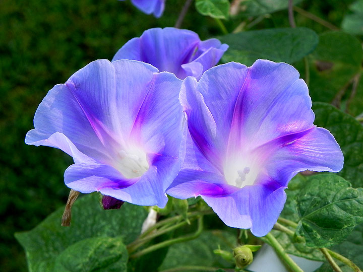 DSCN8764