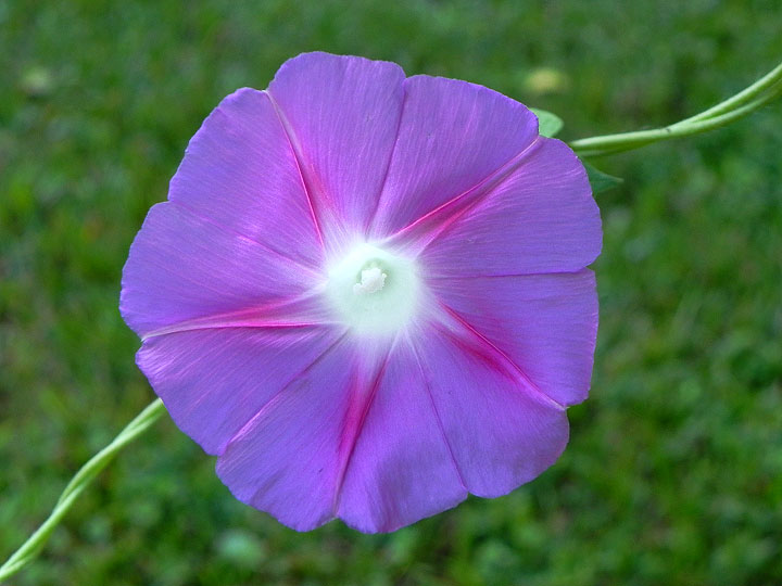 DSCN8904