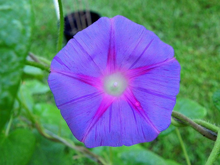 DSCN9103