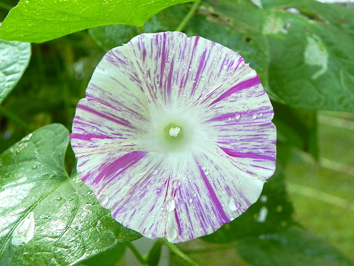 DSCN9266_01