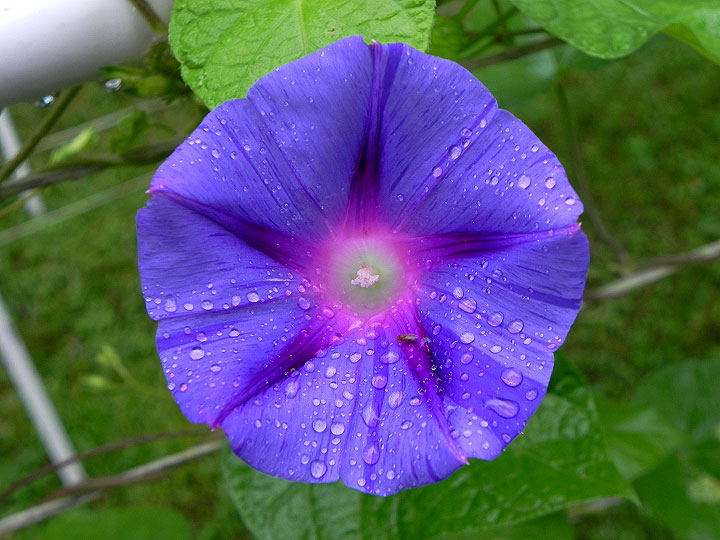 DSCN9426