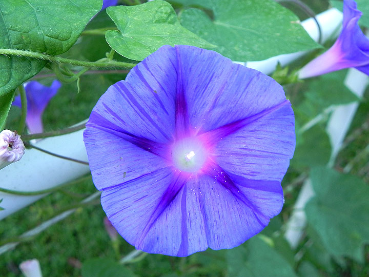 DSCN9543