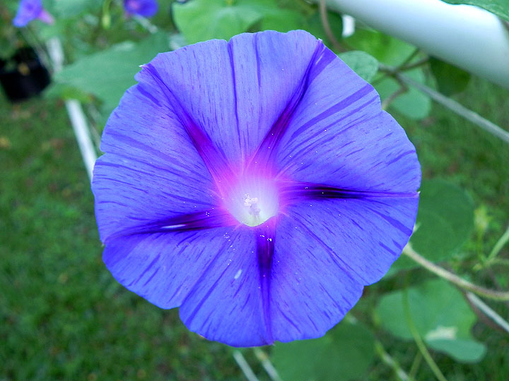 DSCN9544