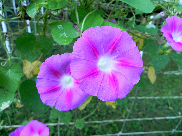 DSCN9547