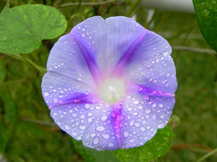DSCN9565_01