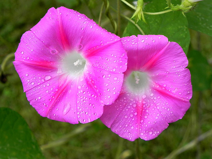 DSCN9590_01