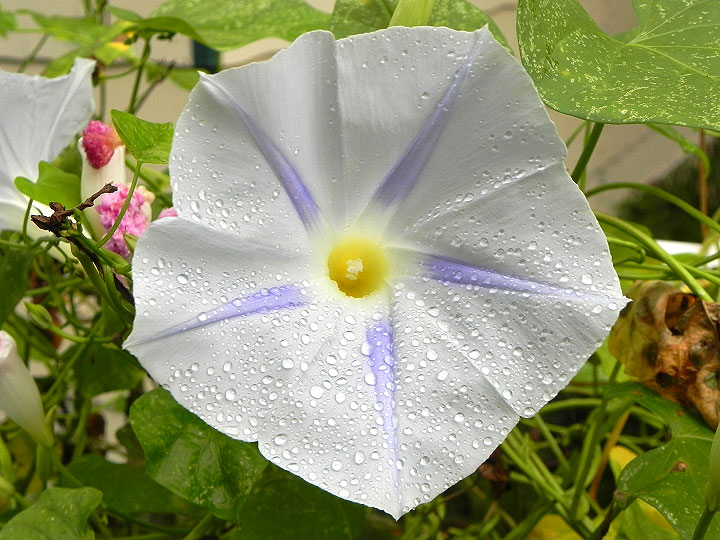 DSCN9593_01