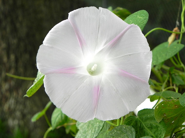 DSCN9596_01
