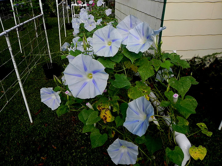 DSCN9648_01