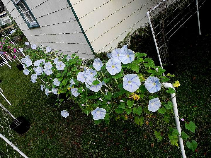 DSCN9649_01