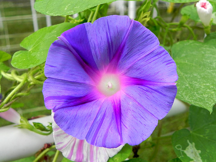 DSCN9729