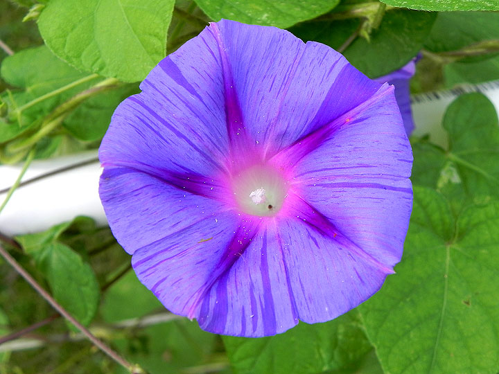 DSCN9772