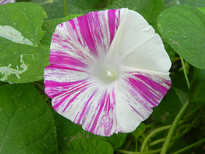DSCN9774