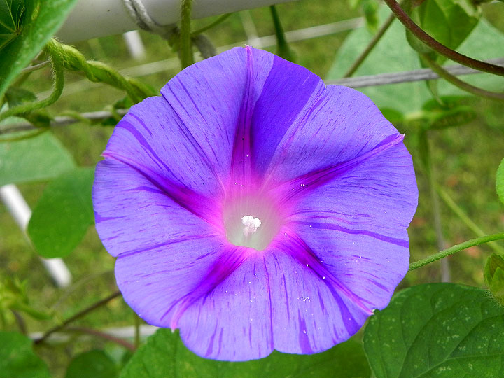 DSCN9778