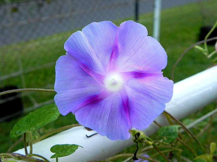 DSCN9801