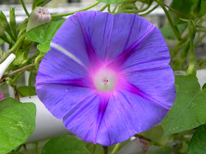 DSCN9857_01