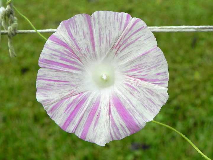 DSCN9859_01