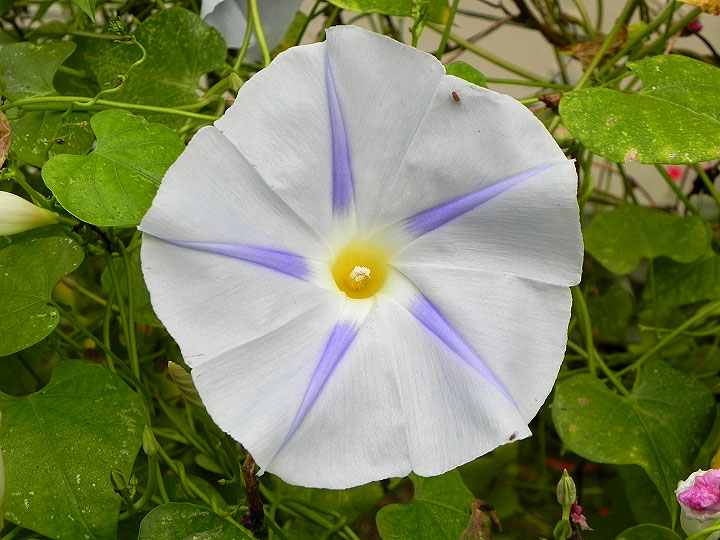 DSCN9863