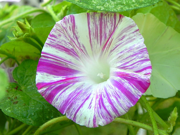 DSCN9898_01