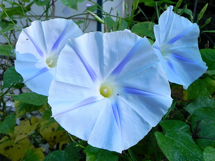 DSCN9905_02