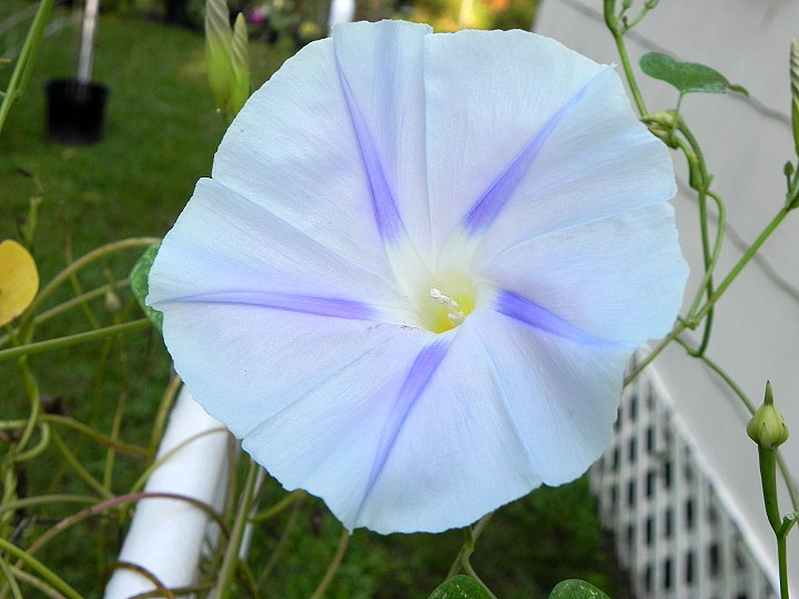 DSCN9960_01