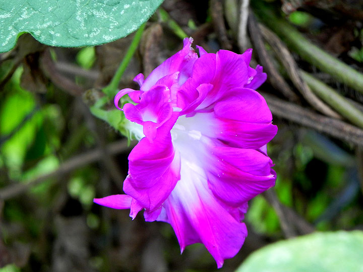 DSCN0012