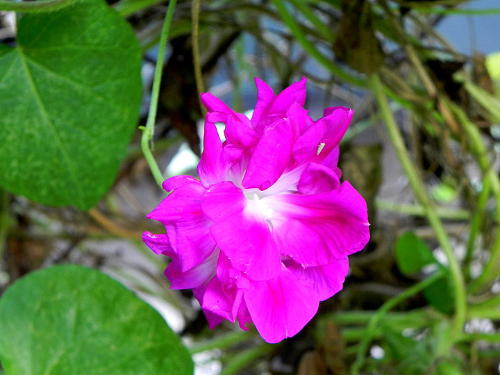DSCN0015