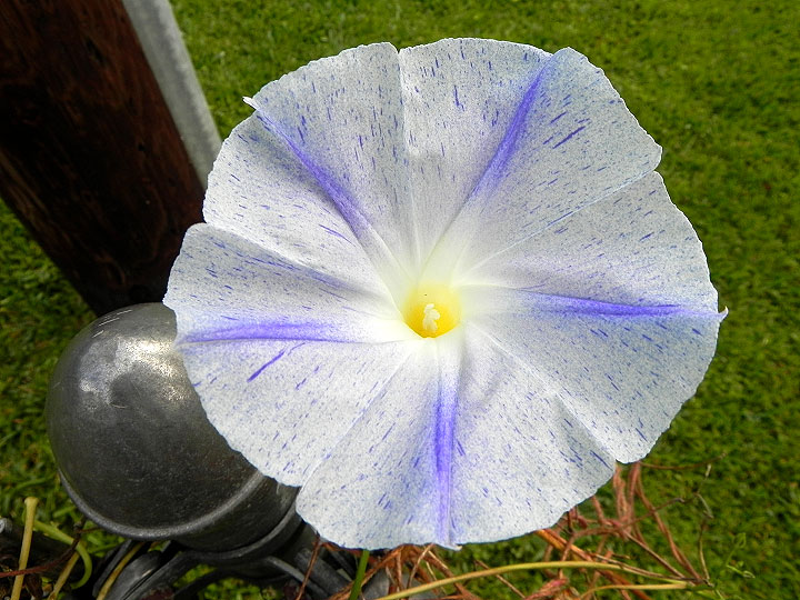 DSCN0058
