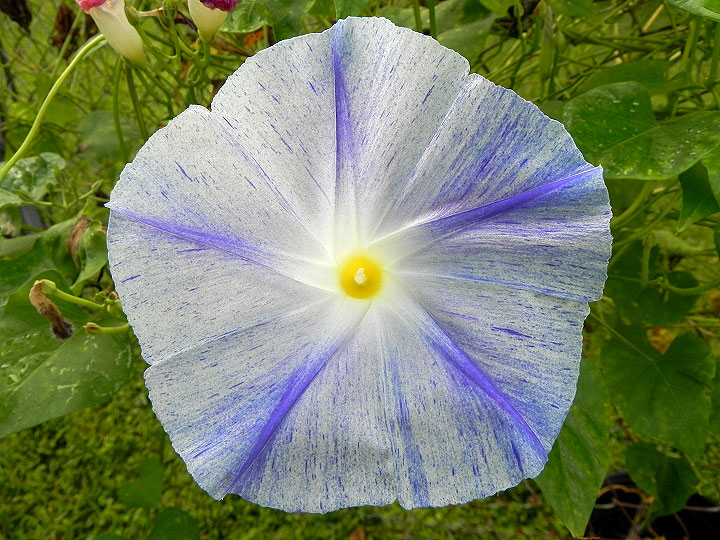 DSCN0102