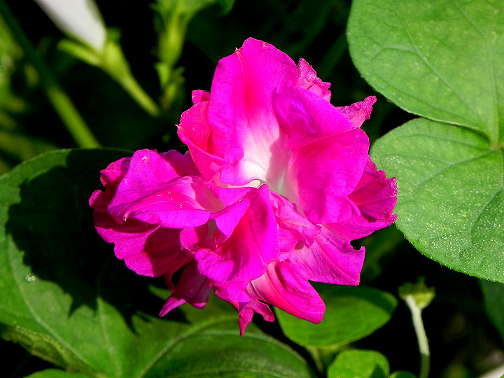 DSCN0157