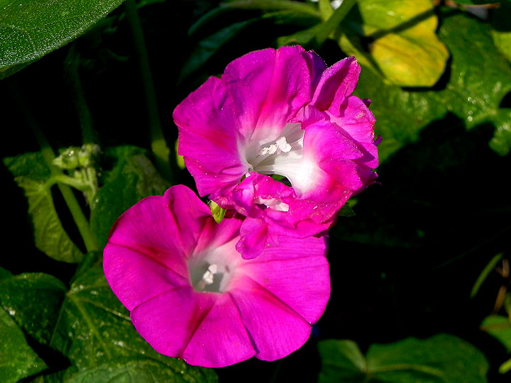 DSCN0177