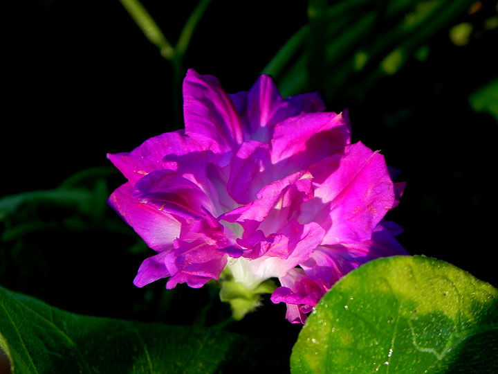 DSCN0180