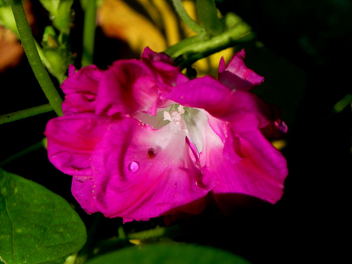 DSCN0182_01