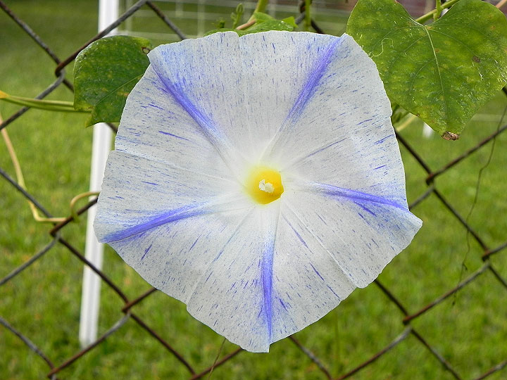 DSCN0256_01