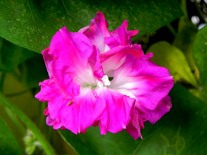 DSCN0267