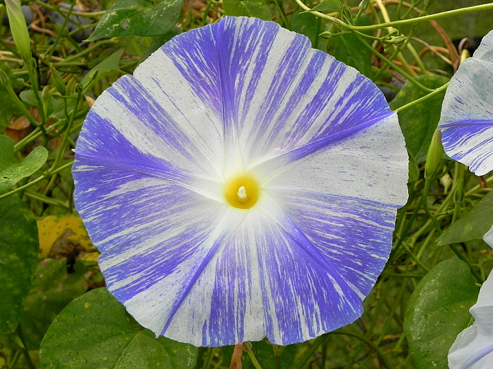 DSCN0323