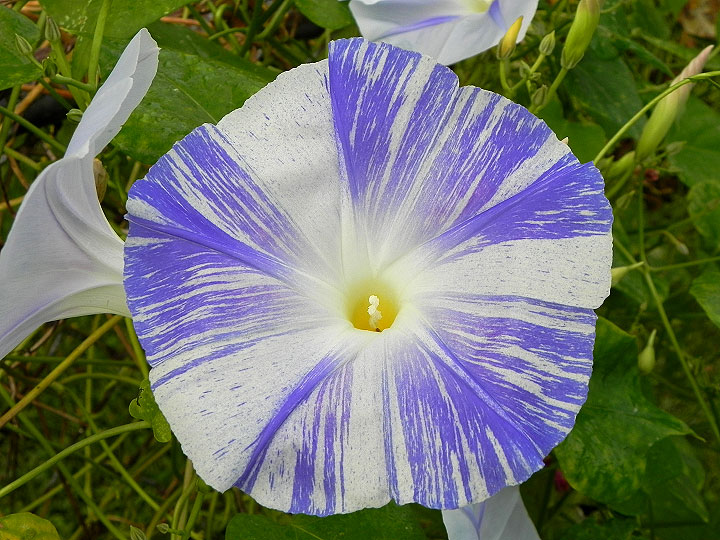 DSCN0326_01
