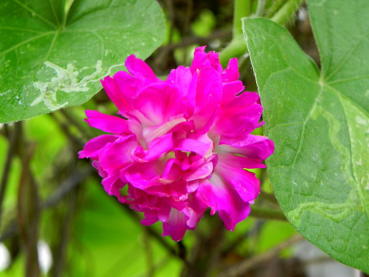 DSCN0403